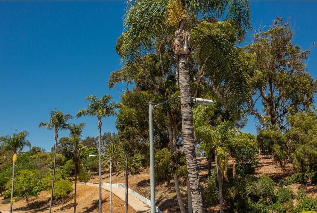 Cozy Studio Next To San Diego Dt And Balboa Park Eksteriør billede